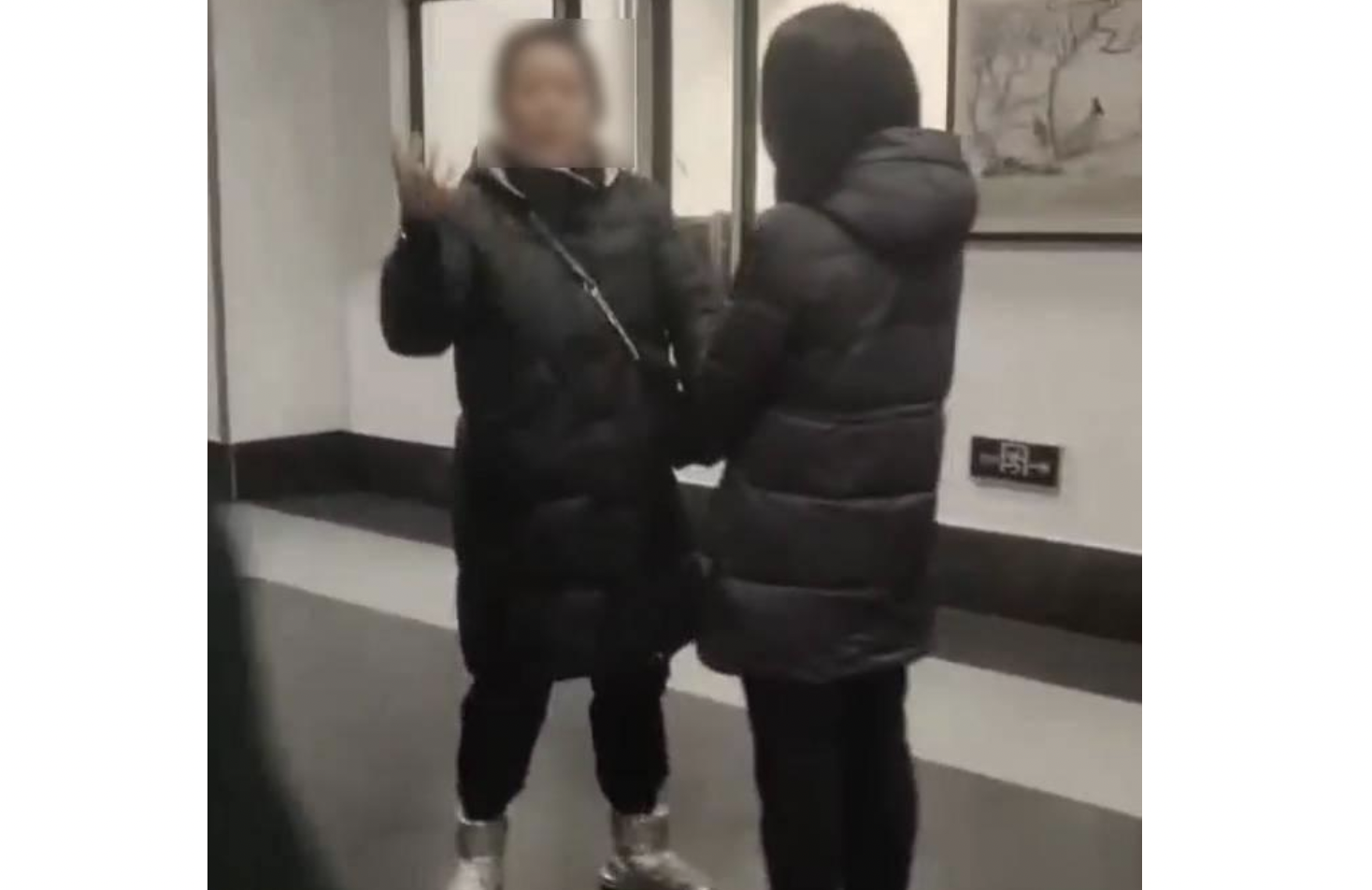 视频截图