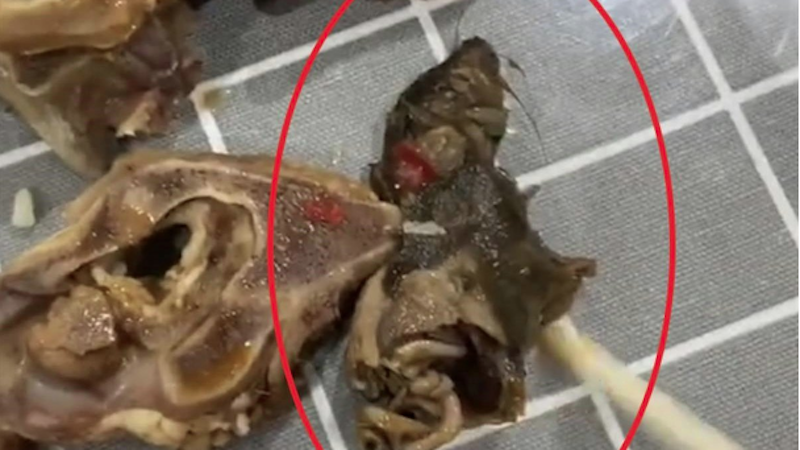 羊肉火锅中惊现异物，疑似半截老鼠。