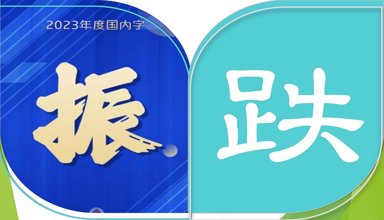 中國2023年度字