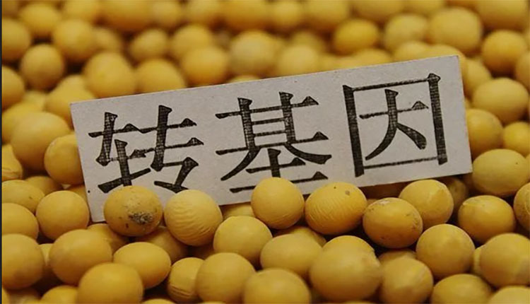 网络截图