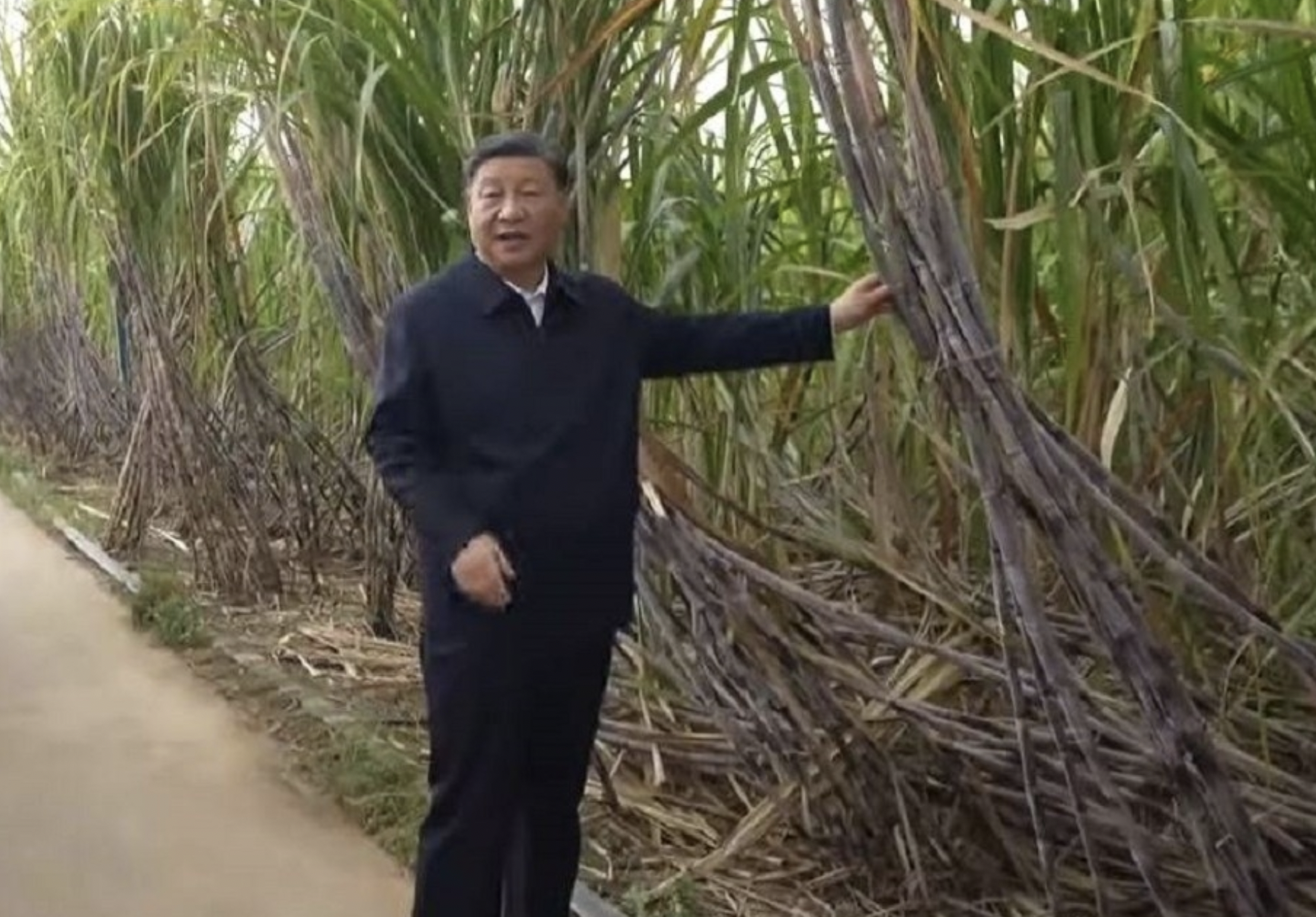 習近平