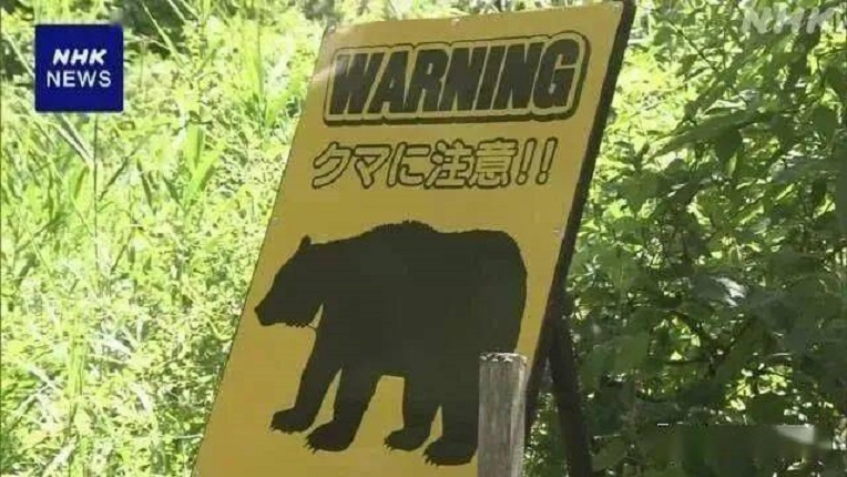“熊害”尤甚  日本部分地区首发跨年警报