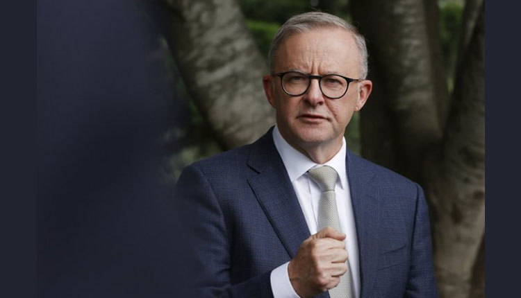 Anthony Albanese