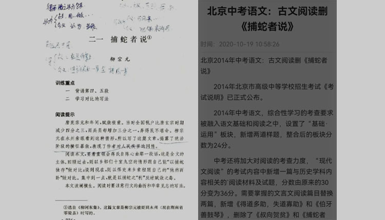 网络图片