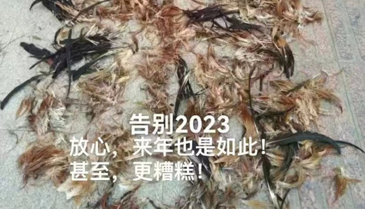 网络图片