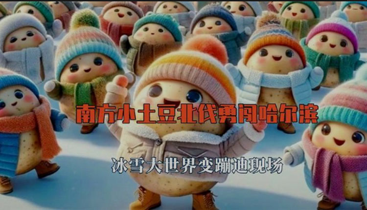 网络图片