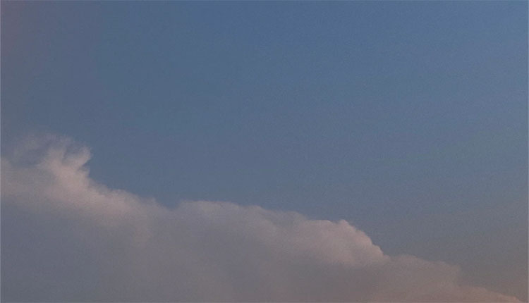 网络图片