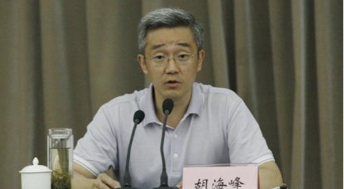 胡海峰