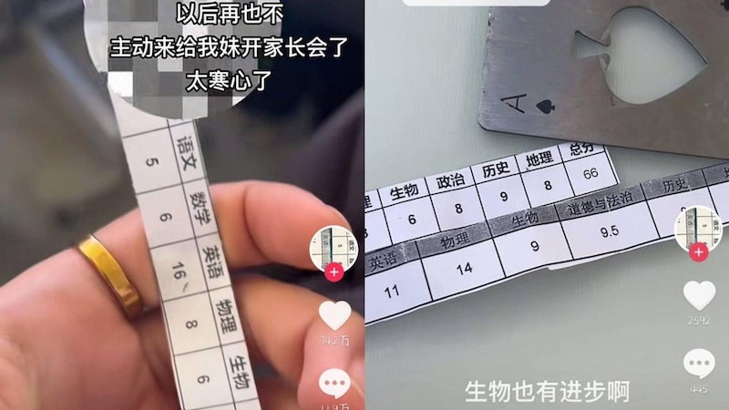 研究生哥哥曝初中妹妹「8科成績總分66」