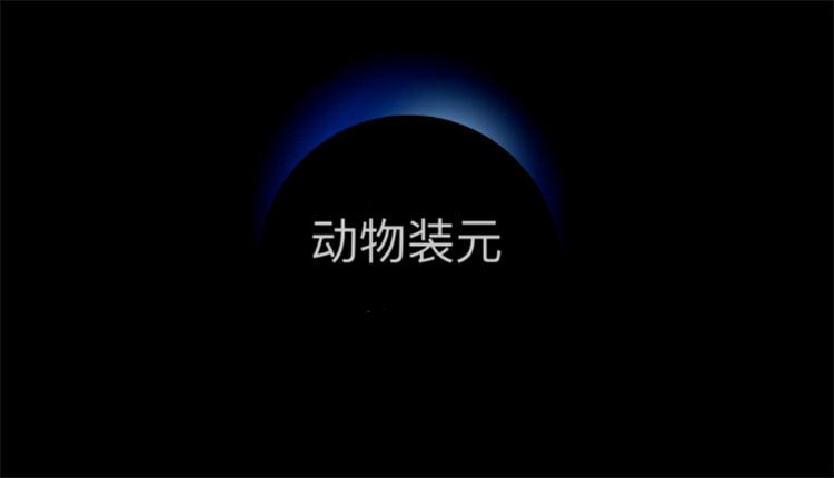 网络图片