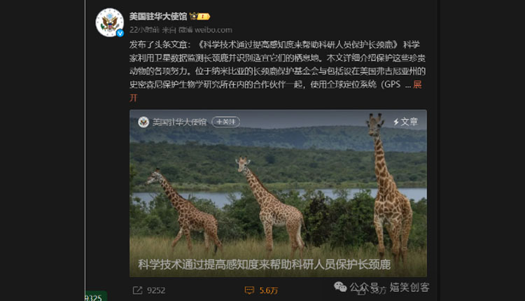 网络图片