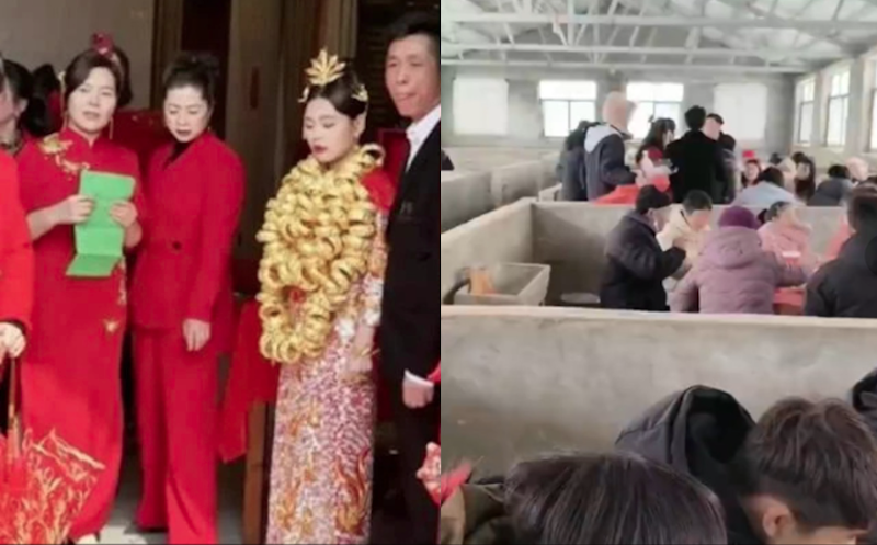 豪门婚宴砸2亿排场惊人 河南农户避风寒猪栏摆酒