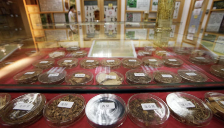 网络图片