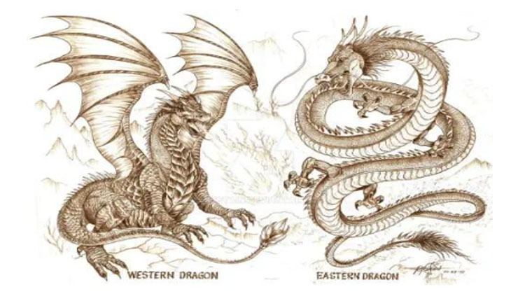 网络图片