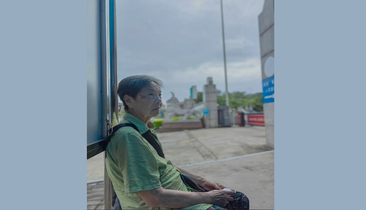 网络图片