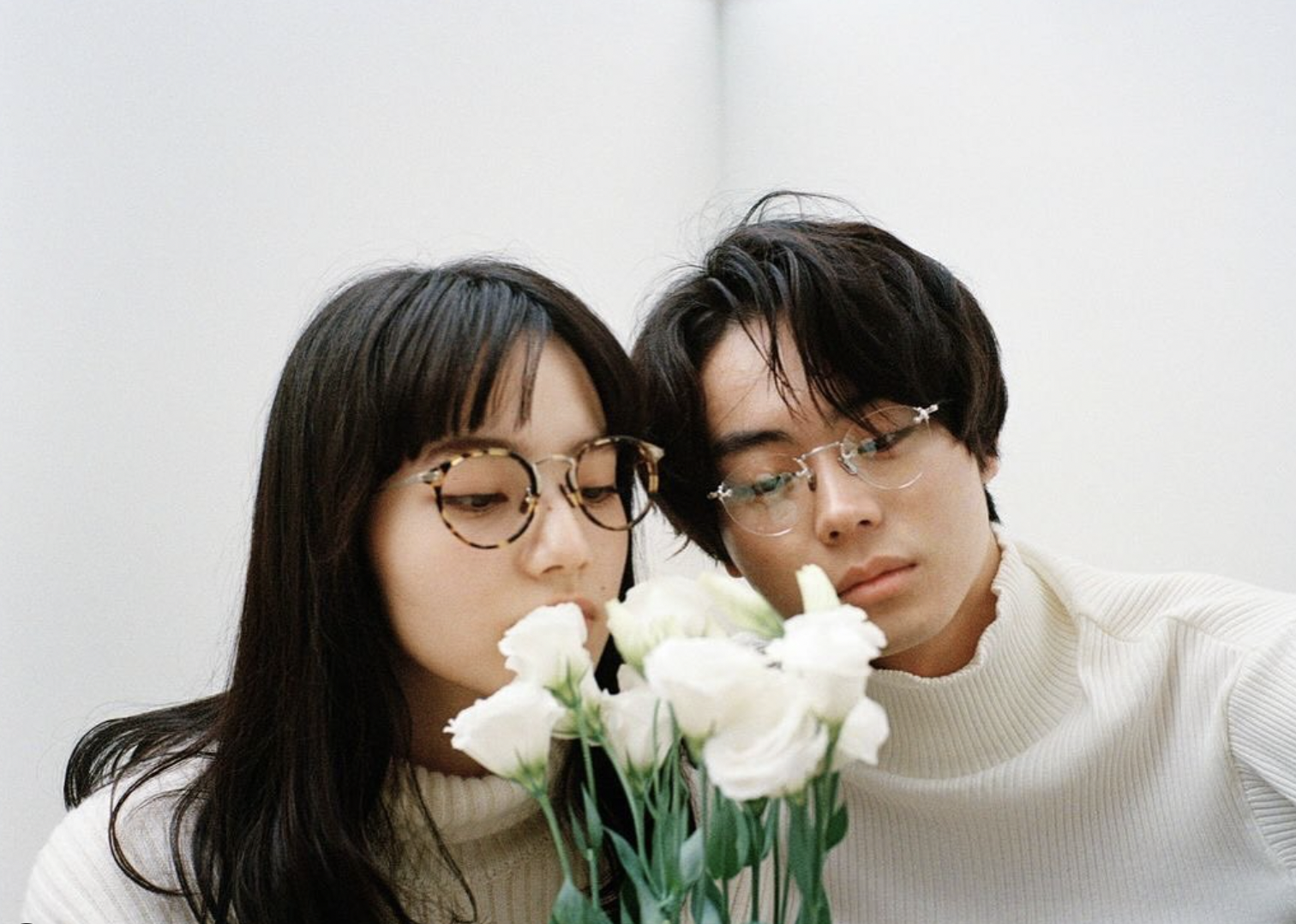 菅田将晖 小松菜奈