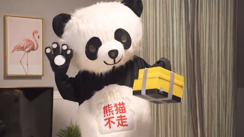 熊猫不走蛋糕倒闭