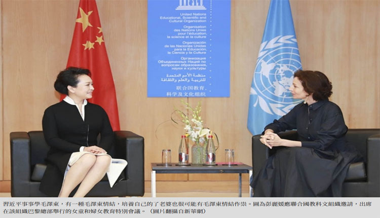 网络图片