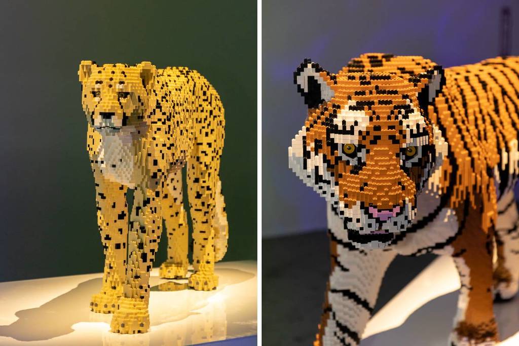 Art of the Brick