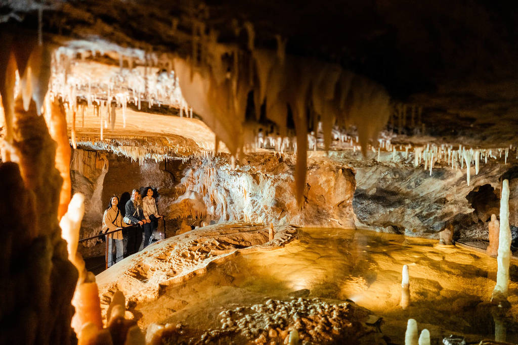 Buchan Caves Reserve