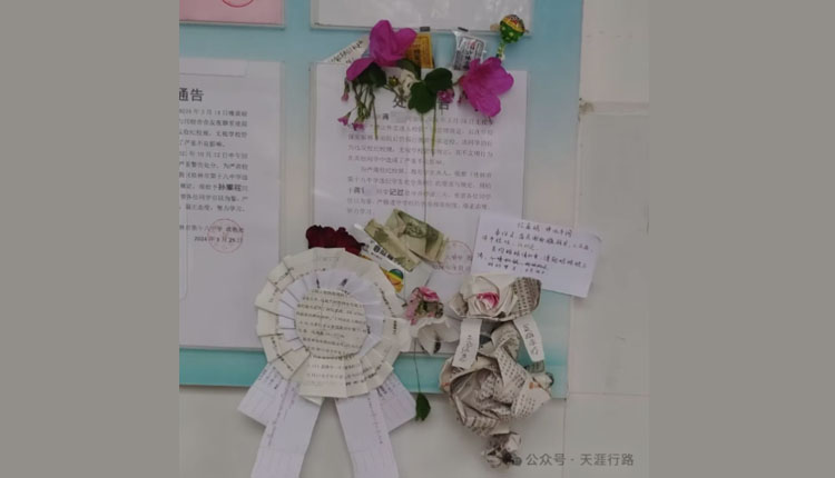 网络图片