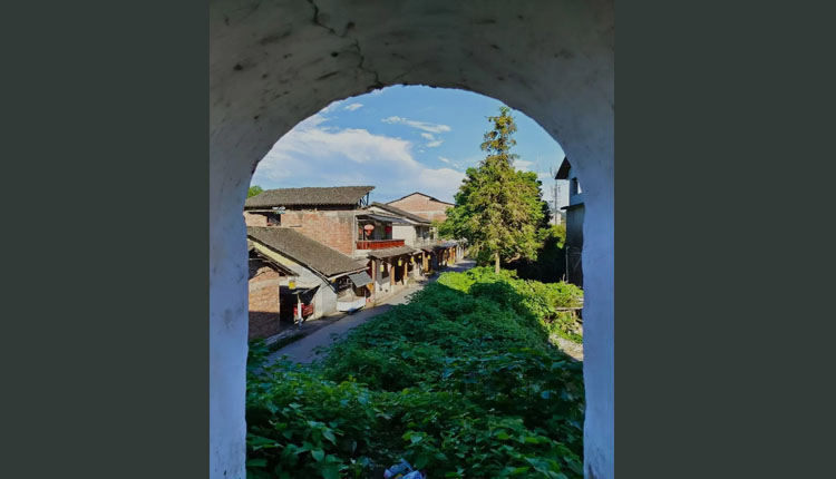 網路圖片