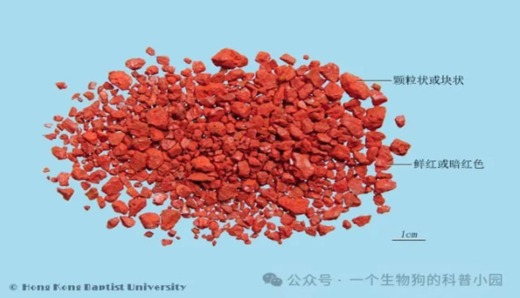 网络图片