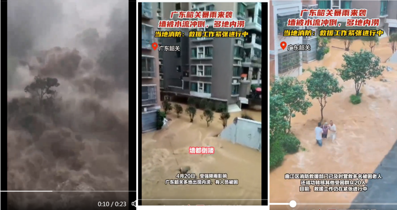 网络视频截图