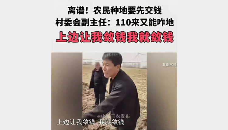 网络图片