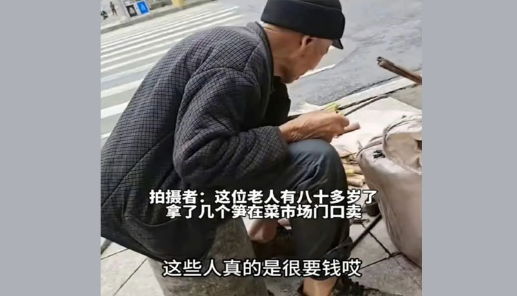 网络图片