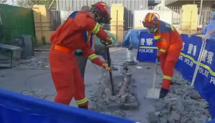 网络图片