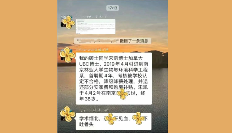 网络图片