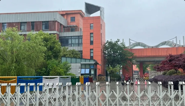 网络图片