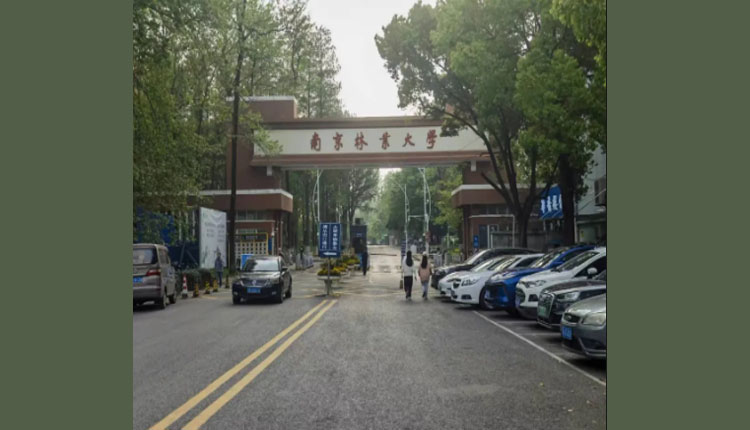 南京林业大学
