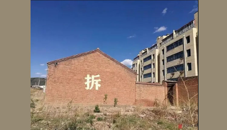 网络图片