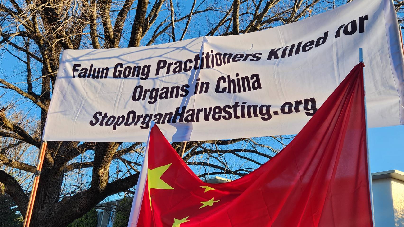 李强前往堪培拉的路边出现抗议人群反对中共活摘器官