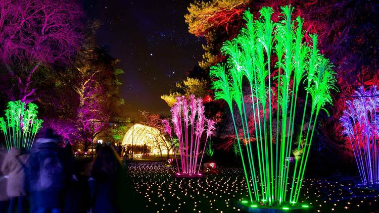 Lightscape