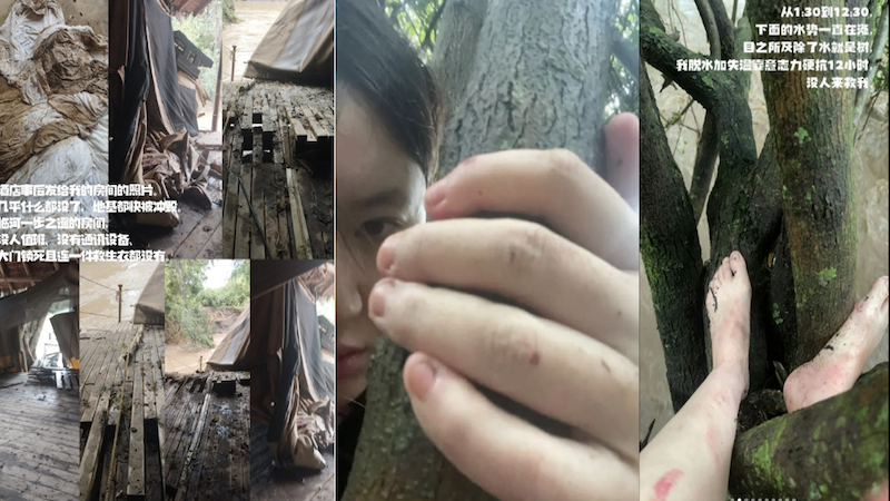 湖北女在非洲遇洪水抱树12小时求生