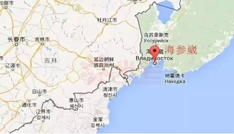 网络图片