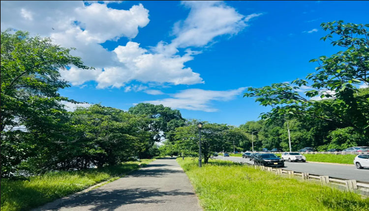 網路圖片
