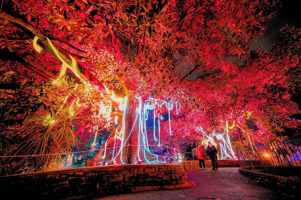 Electric Wonderland