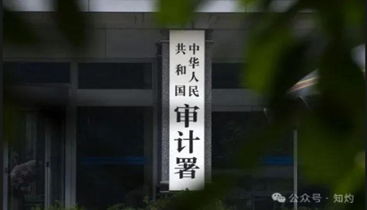 审计署披露：66个县挪用学生营养餐补助偿还地方债