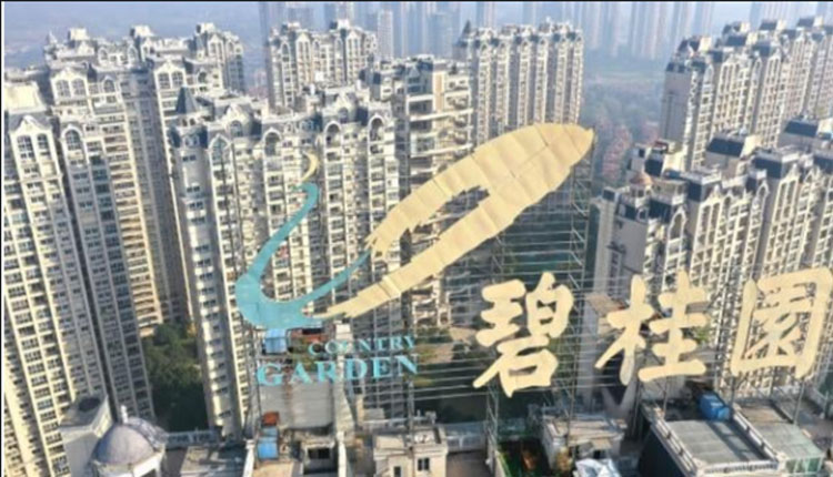 突发，碧桂园清零
