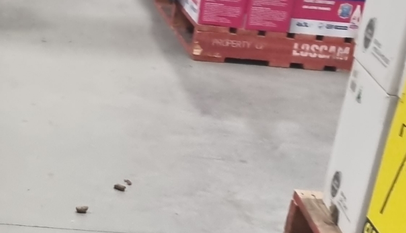 来源：网络