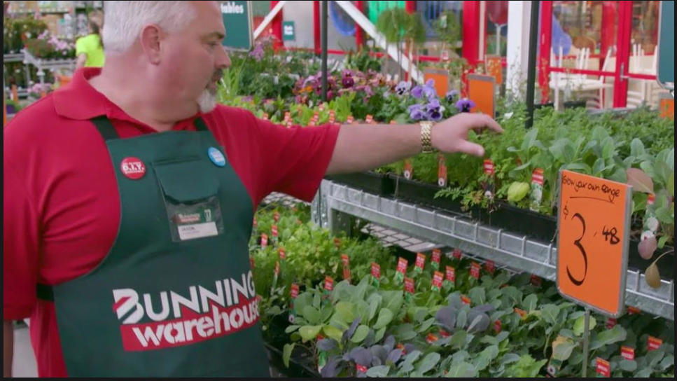 Bunnings 因其在全國範圍內的苗圃向顧客出售一種「高度侵入性」雜草而受到批評。圖片：Bunnings/YouTube