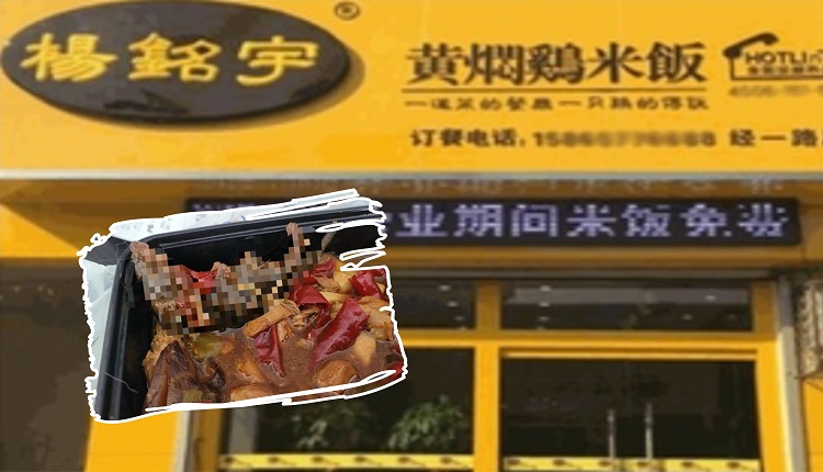 嚇人！吃外賣時被一雙眼睛盯著 竟是燉爛的老鼠