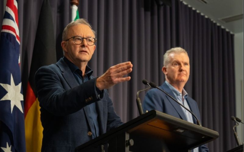 阿尔巴尼斯和 Tony Burke