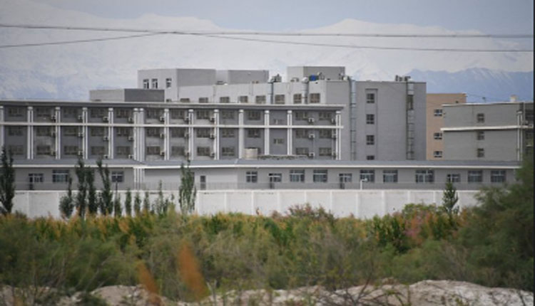 遗体黑市背后：同种异体骨如何用于临床？如何获取？