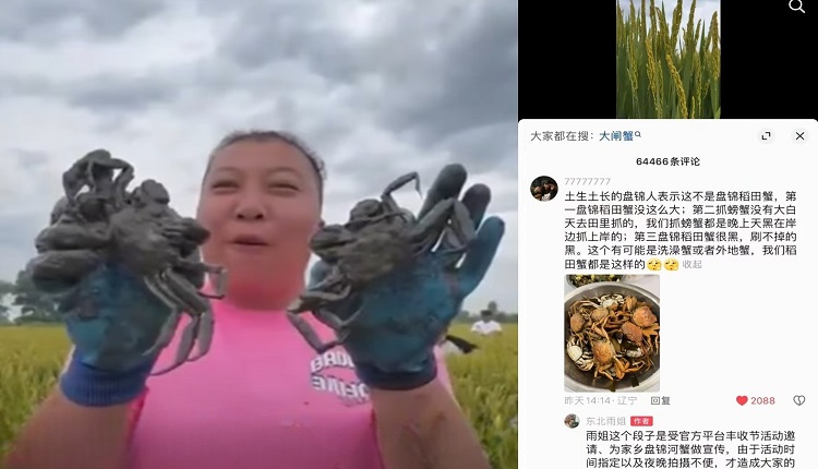 中国千万粉丝网红“东北雨姐”