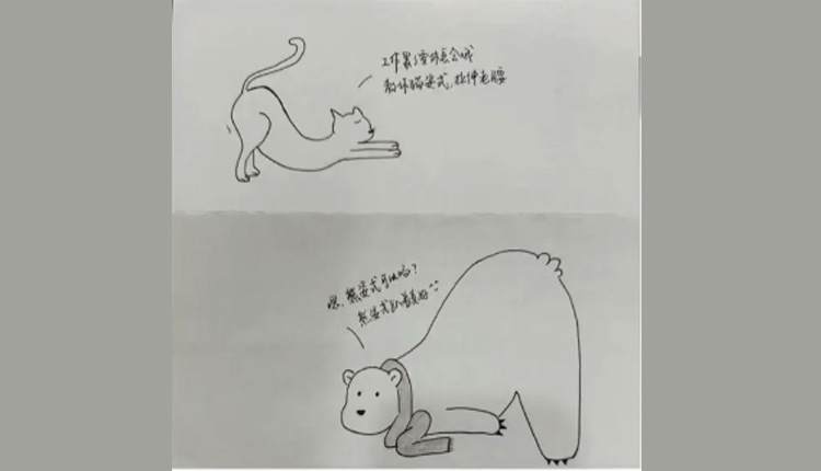 雪琴的这条路